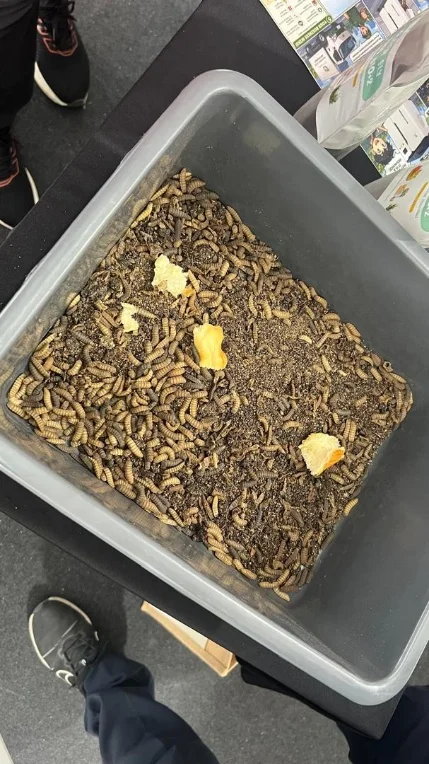 Food waste composting by Entomal
